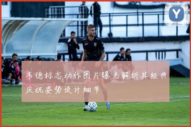 韦德标志动作图片曝光解析其经典庆祝姿势设计细节