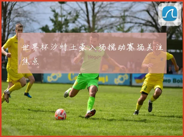 世界杯沙特土豪入场搅动赛场关注焦点