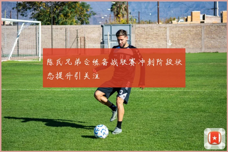 陈氏兄弟合练备战联赛冲刺阶段状态提升引关注