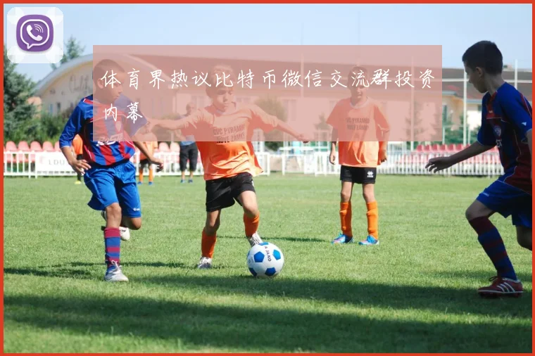 体育界热议比特币微信交流群投资内幕