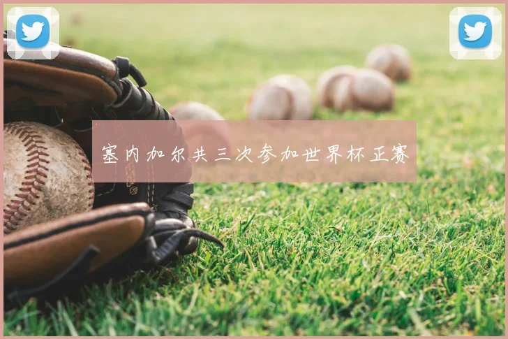 塞内加尔共三次参加世界杯正赛