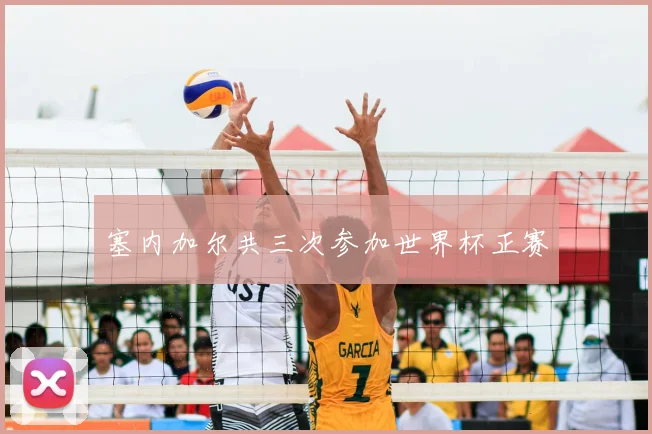 塞内加尔共三次参加世界杯正赛