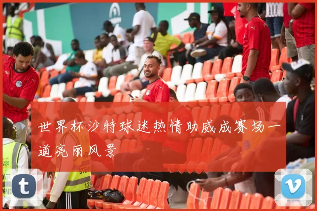 世界杯沙特球迷热情助威成赛场一道亮丽风景